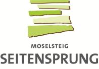 seitensprung-logo