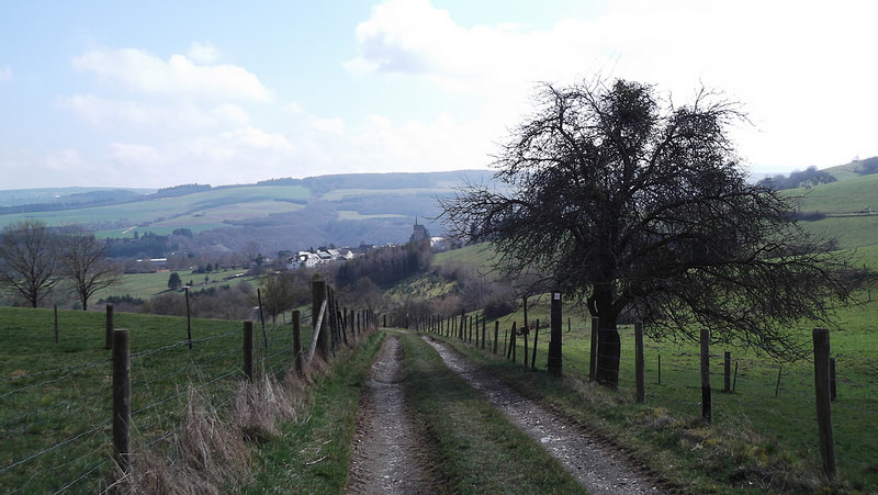 25443423884_57531dcd22_c