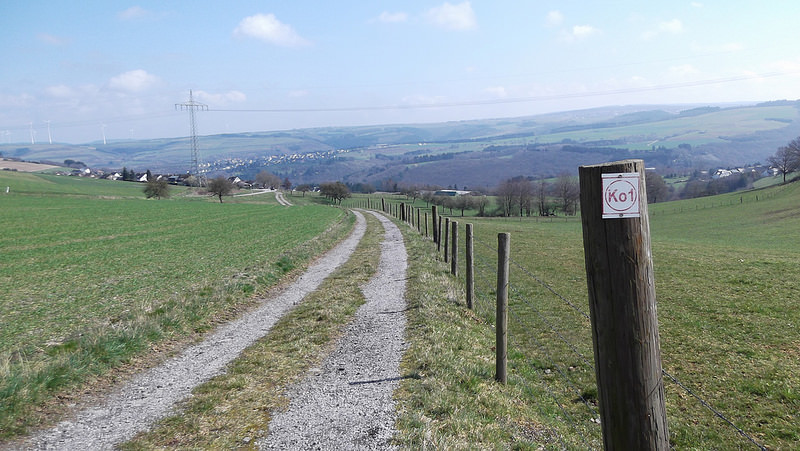 25775357690_72a218760e_c