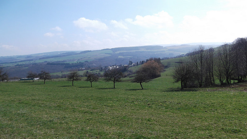 25981836671_a1fed52b1b_c